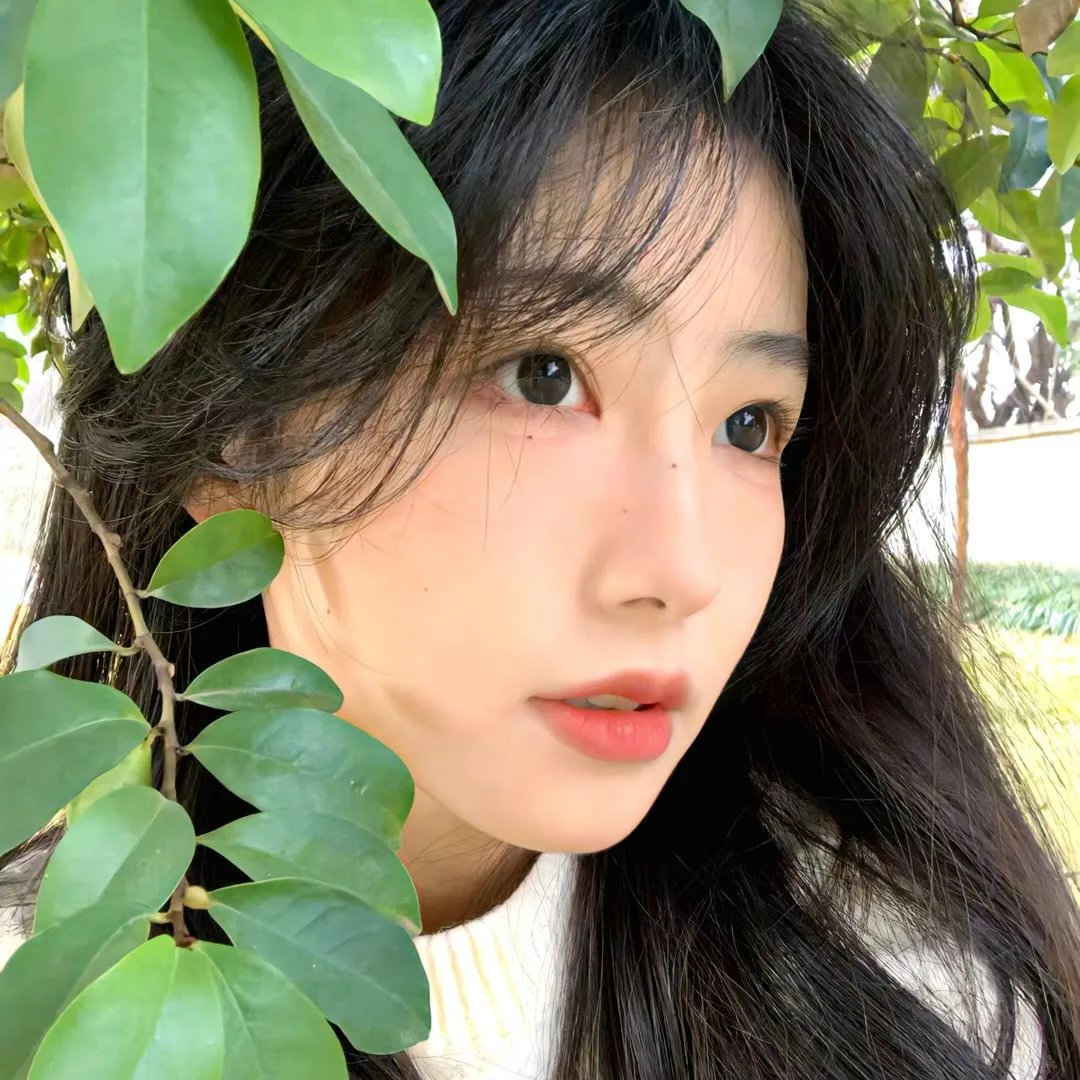 脂粉七雄