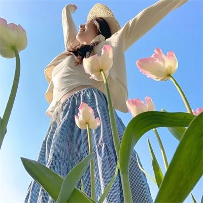 画舫情歌